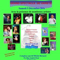 Telethon de wingles